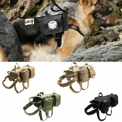 Pettorina tattica militare per cani